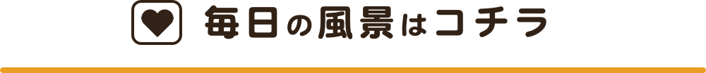 毎日の風景はコチラ